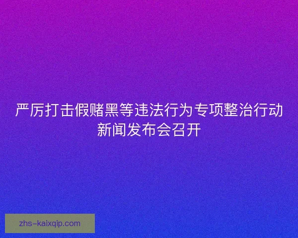 严厉打击假赌黑等违法行为专项整治行动新闻发布会召开